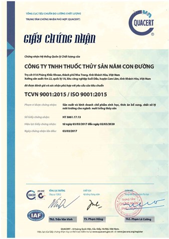 5WAY ĐẠT TIÊU CHUẨN ISO 9001 : 2015 DO TỔNG CỤC TIÊU CHUẨN ĐO LƯỜNG CHẤT LƯỢNG CẤP.