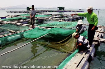 Gian nan dịch bệnh thủy sản