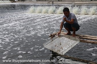 Nghệ An: Phát động thủy lợi trong nuôi tôm