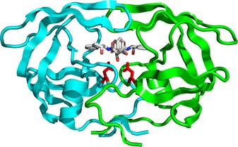 Những enzyme nào dùng cho nuôi trồng thủy sản?