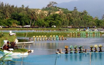 Phú Yên: Tăng cường quản lý môi trường nuôi thủy sản