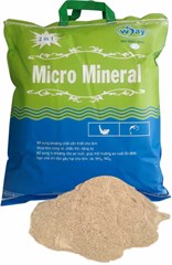 MICRO MINERAL (2 in 1)